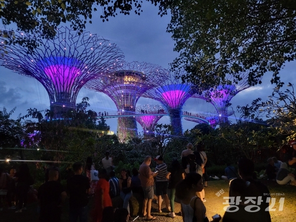 싱가포르 가든스 바이 더 베이 공원(Gardens by the Bay Park)에서 슈퍼트리 그로브(supertree grove) [사진=박선희 기자]