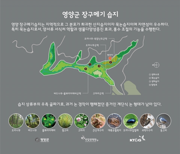 경북 영양군 ‘장구메기 습지’ 안내판 [사진=KT&G ]